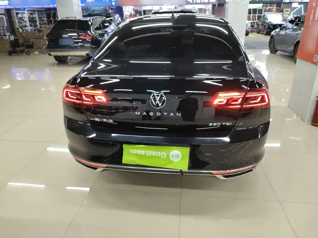 Volkswagen Magotan 2020 330TSI DSG Luxury 4