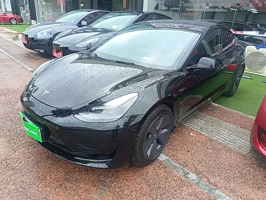Tesla Model 3 2021 Standard Range Rear-Wheel Drive Upgrade