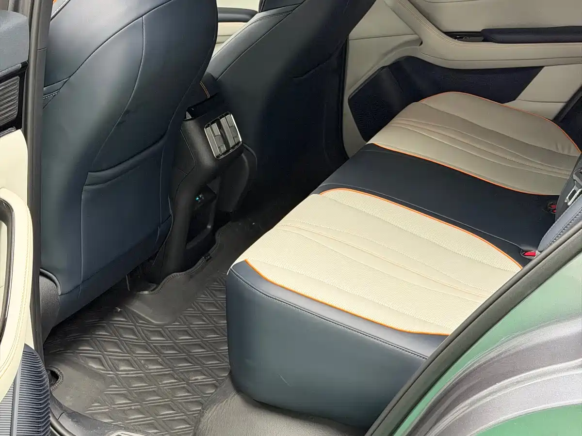 BYD SONGJIANG NEW ENERGY