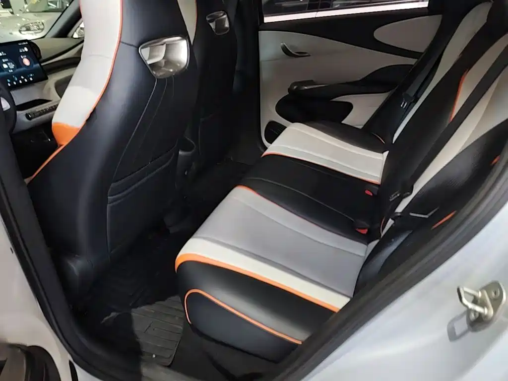 BYD Dolphin 2021 2021 Model 405km Fashion Edition