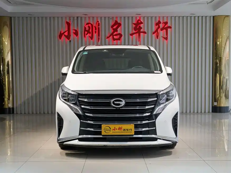 GAC Trumpchi Trumpchi M8 2021 Leading Show Series 390T Ultimate Edition фото 3