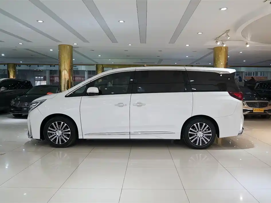 GAC Trumpchi Trumpchi M8 2021 Leading Show Series 390T Ultimate Edition фото 19