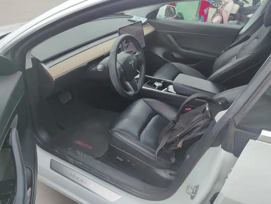 Tesla Model 3 2020 2020 Standard Range Rear-Wheel Drive Upgrade