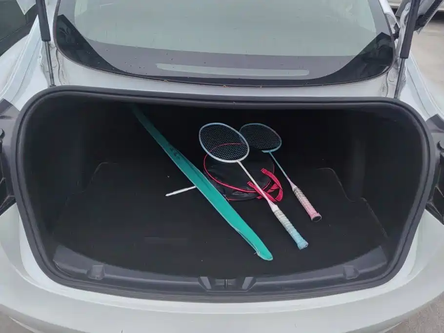 Tesla Model 3 2020 2020 Standard Range Rear-Wheel Drive Upgrade