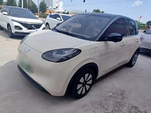 Wuling Bingo 333km, Lingxi Premium