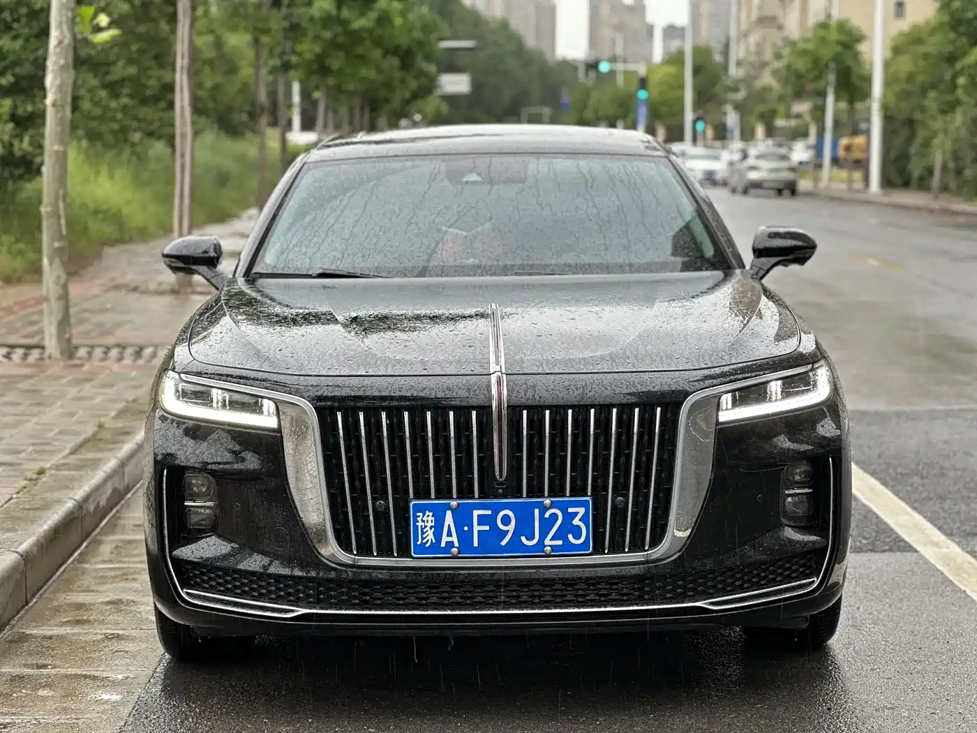 Hongqi H9 2023 Model 2.0T Smart Connect Flagship Edition фото 2