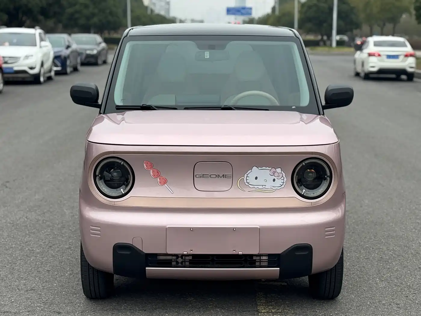 GEELY GALAXY PANDA