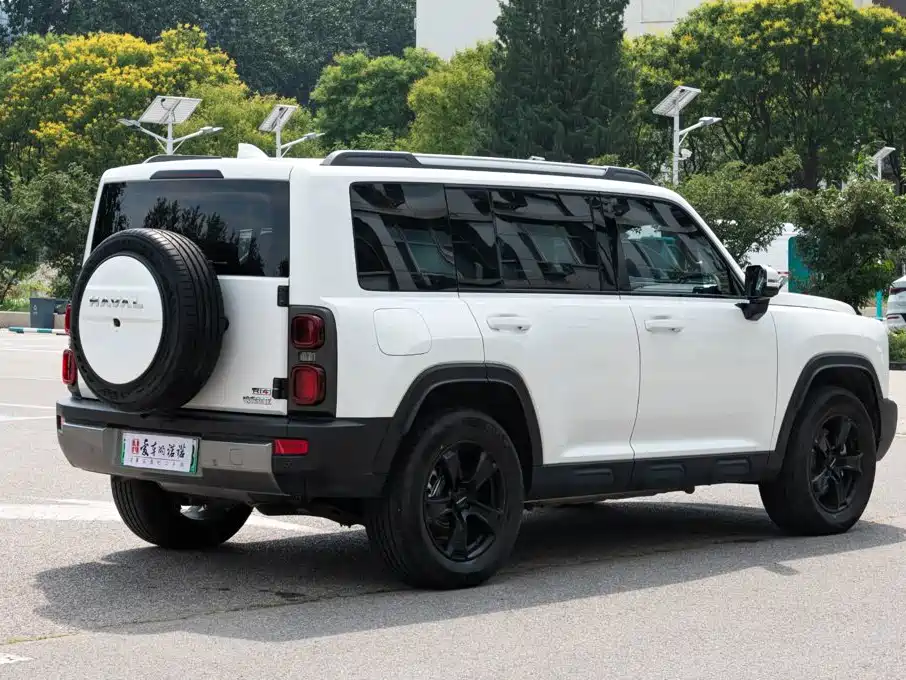 Haval Raptor 2024 2024 Hi4 145 Cross-country Edition
