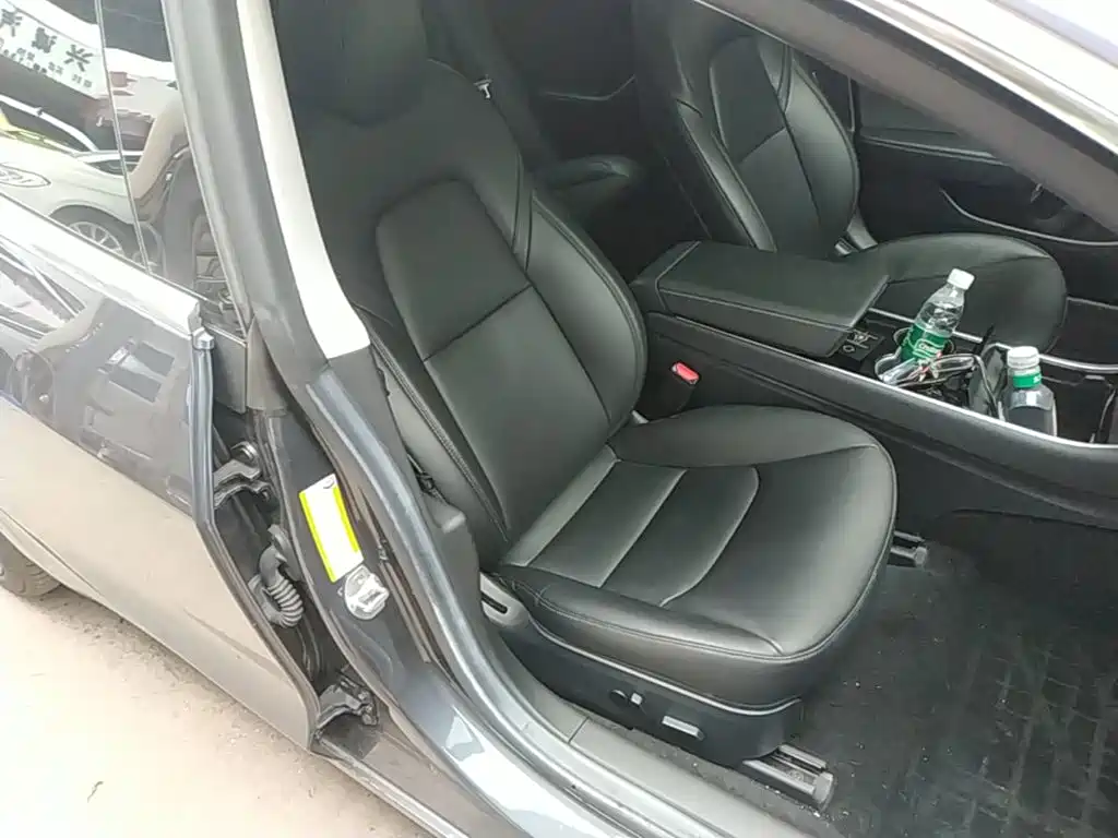 Tesla Model 3 2020 2020 Standard Range Rear-Wheel Drive Upgrade