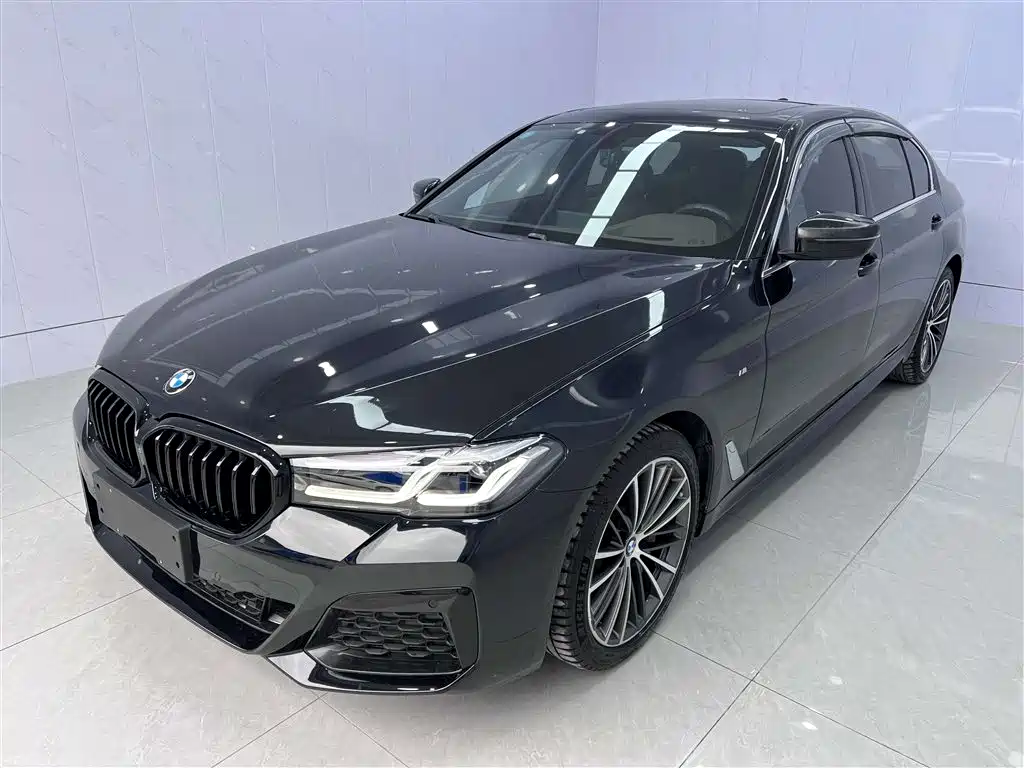 BMW 5 Series 2020 Model 530Li Executive M Sport Package
