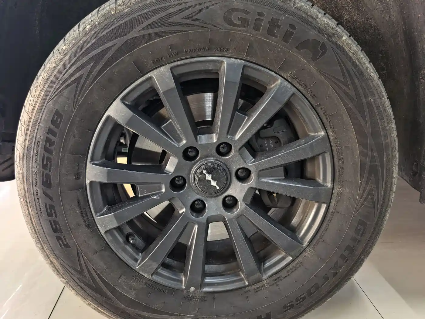 FANG CHENG BAO LEOPARD 5