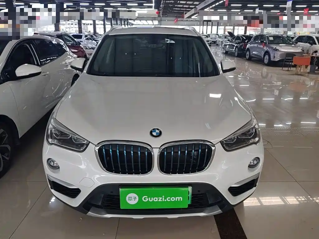 BMW X1 New Energy 2019 xDrive25Le Range Upgrade Edition фото 3