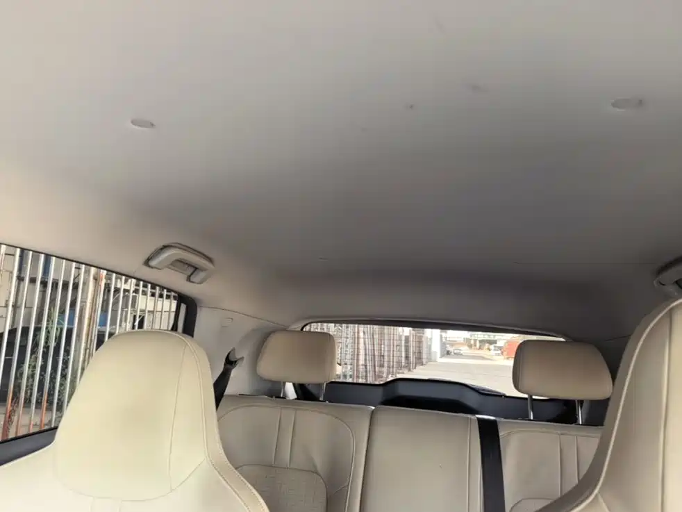 Wuling Motors Wuling Binguo PLUS 2024 2024 Model 330km 5-Seater