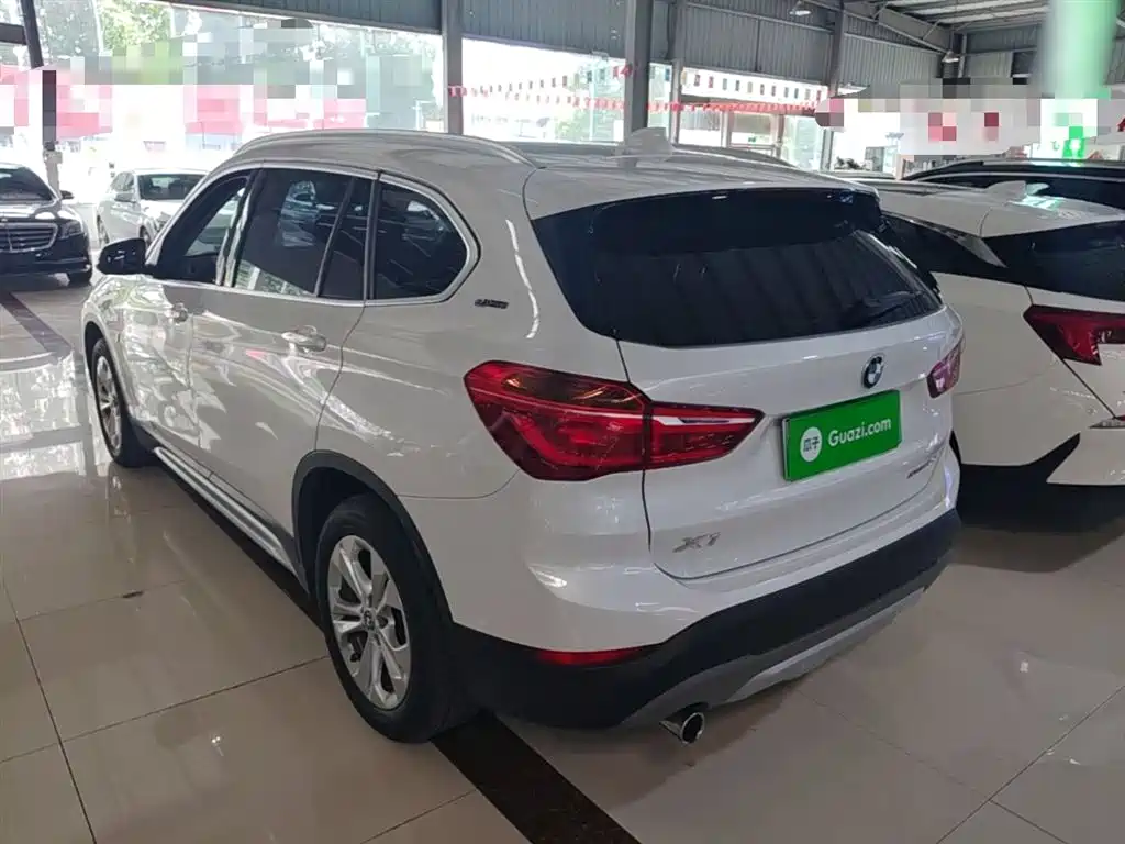 BMW X1 New Energy 2019 xDrive25Le Range Upgrade Edition фото 5