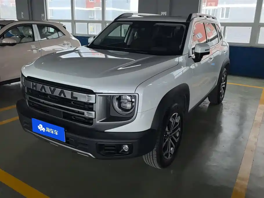 Haval Big Dog 2024 1.5T DCT Border Collie Edition