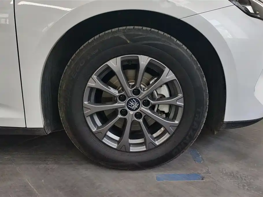 BYD Qin L 2024 DM-i 80KM Leading Edition фото 6
