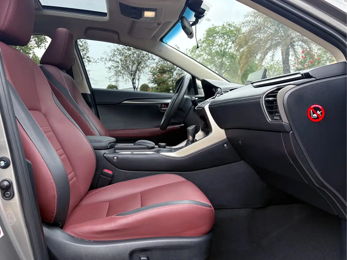 Lexus NX 2015 300h FWD Luxury фото 14
