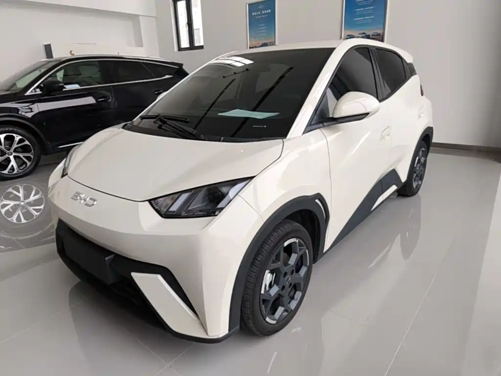 BYD Seagull 2024