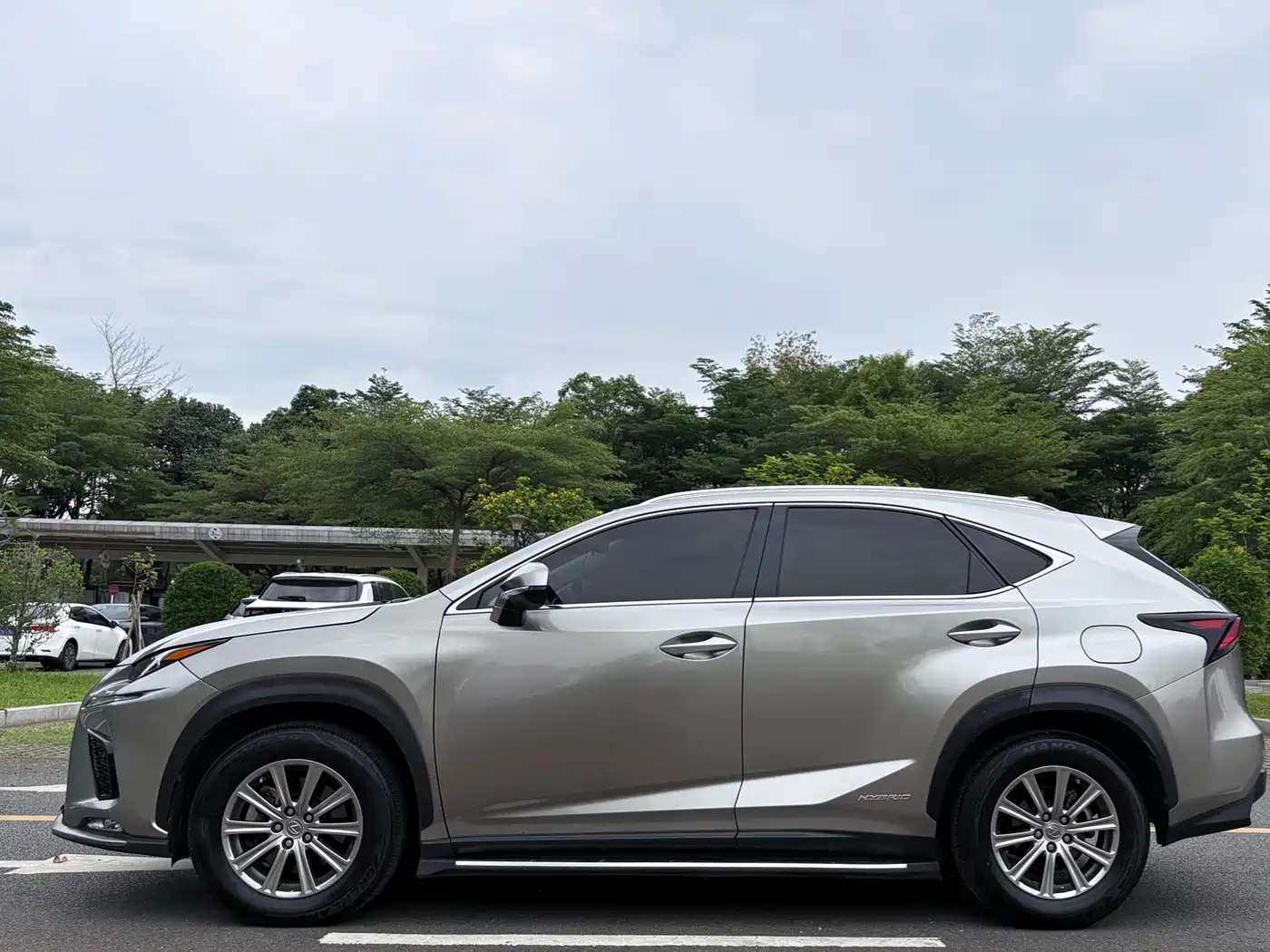 Lexus NX 2015 300h FWD Luxury фото 5