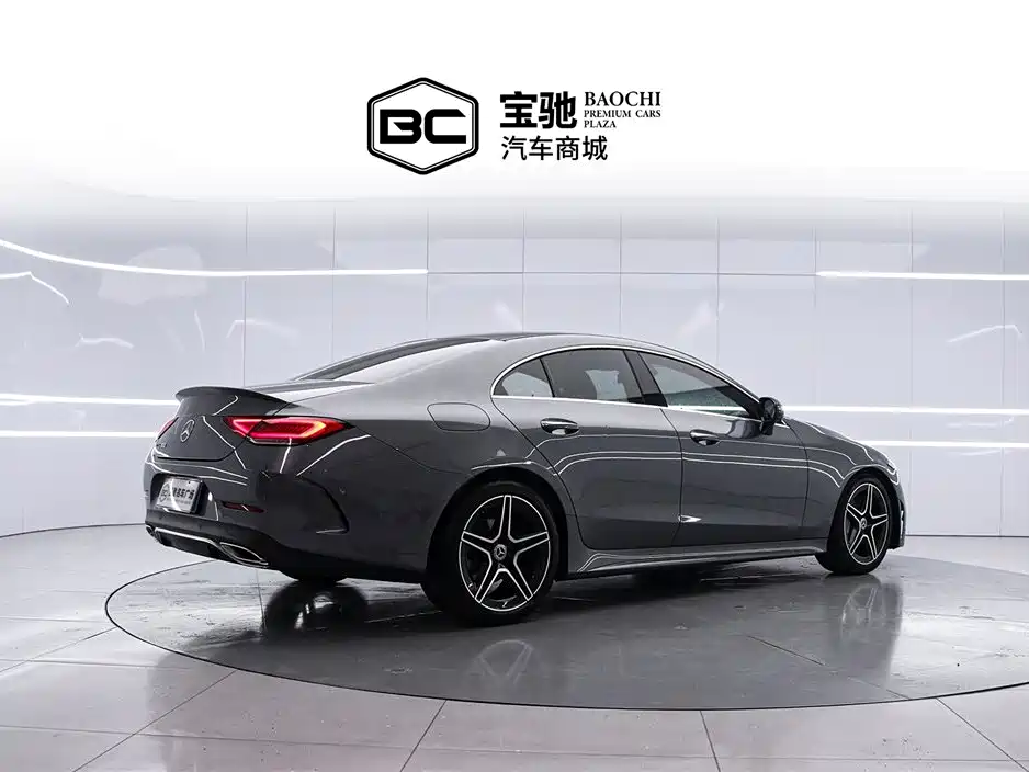 Mercedes-Benz CLS 2022 CLS 300 Luxury фото 3