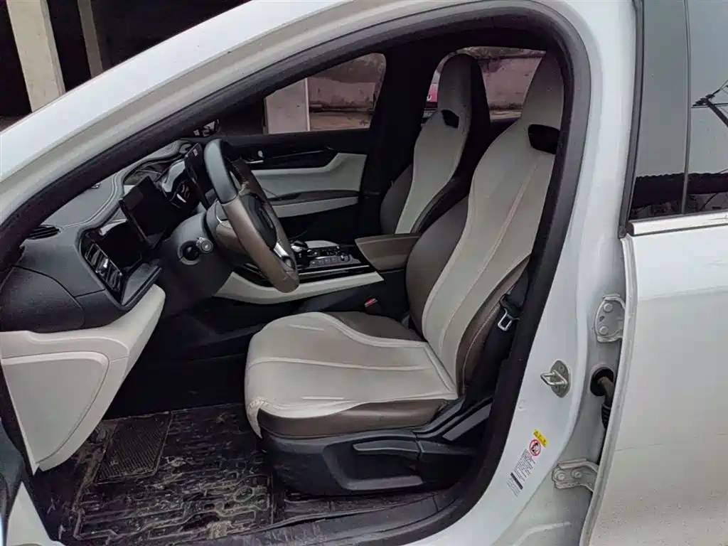 BYD Qin PLUS 2023 Champion Edition DM-i 55KM Leading фото 15