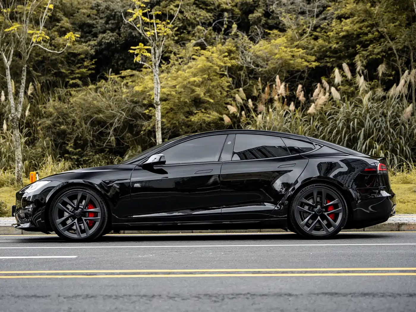 Tesla Model S 2023 Tri-motor AWD Plaid фото 4