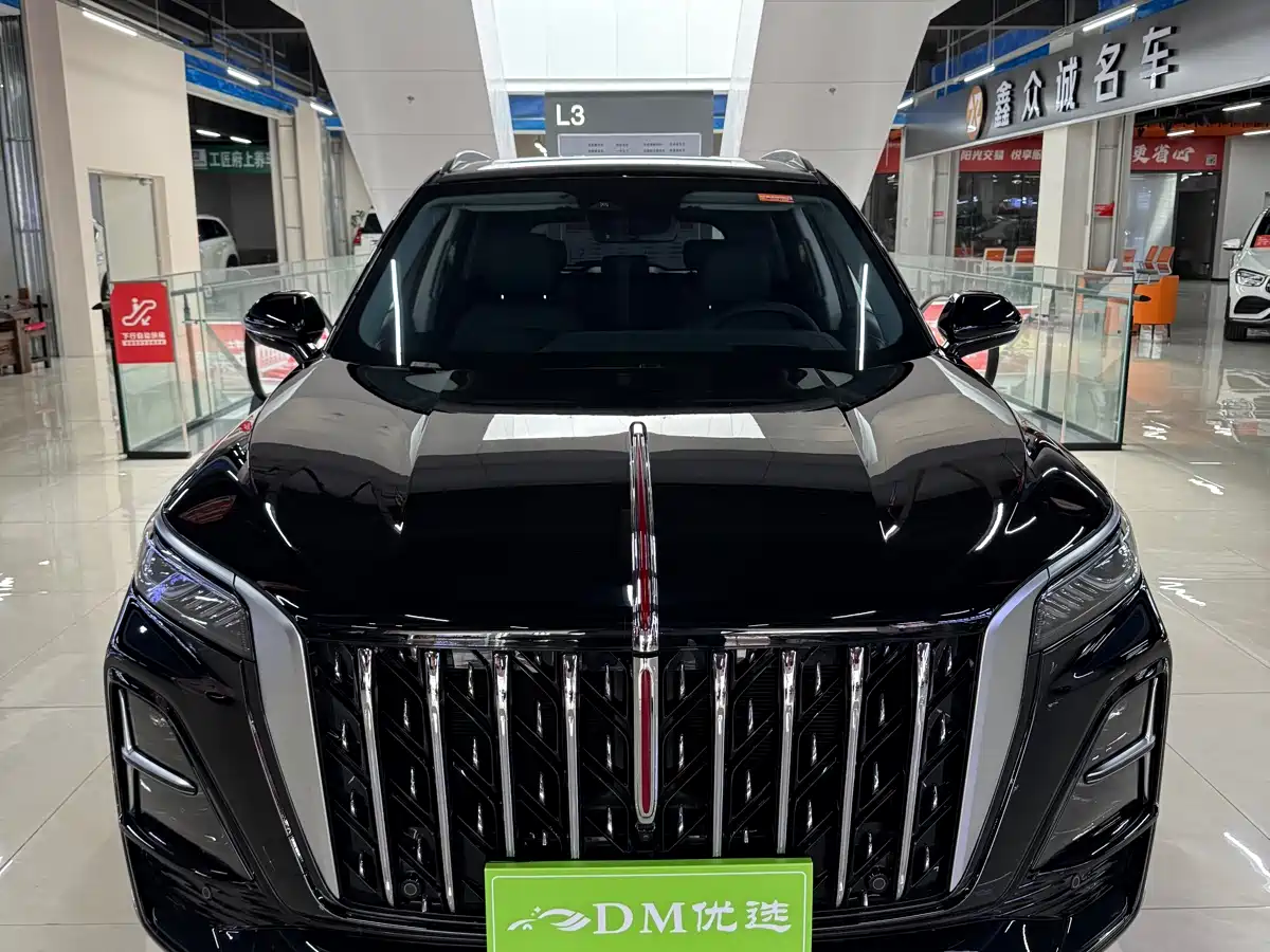 Hongqi HS5 2025 2.0T 2WD Qixiang Pro фото 2