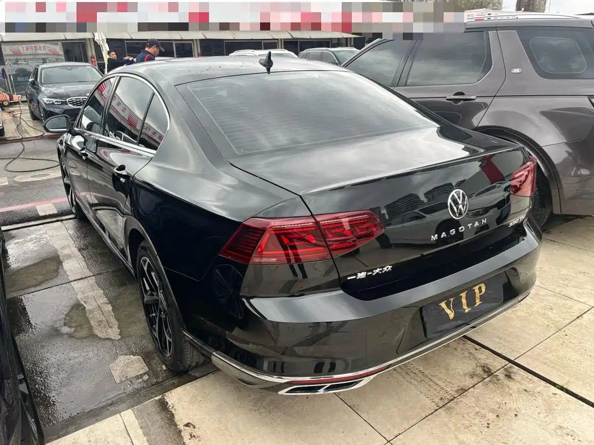 Volkswagen Magotan 2025 Popular Edition 330TSI DSG Luxury фото 6