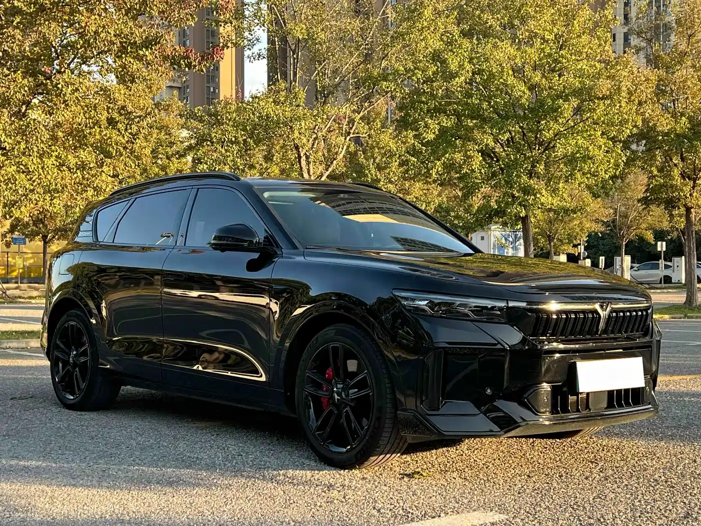 Voyah Auto VOYAH FREE 2025 318 318km RWD Touring Edition фото 2