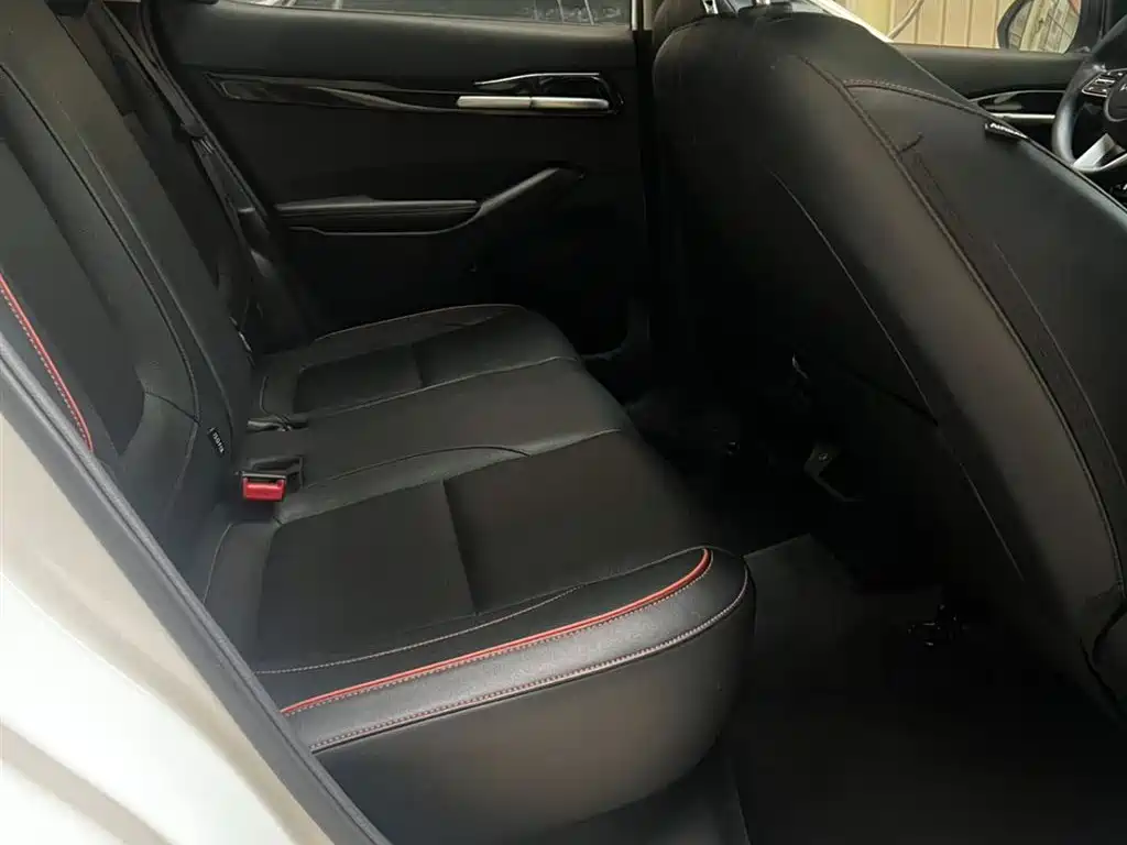Kia Seltos 2023 1.5L CVT Luxury Edition фото 10