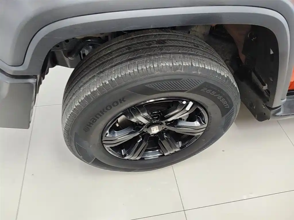 Tank 300 2023 Off-Road Edition 2.0T Conqueror фото 23
