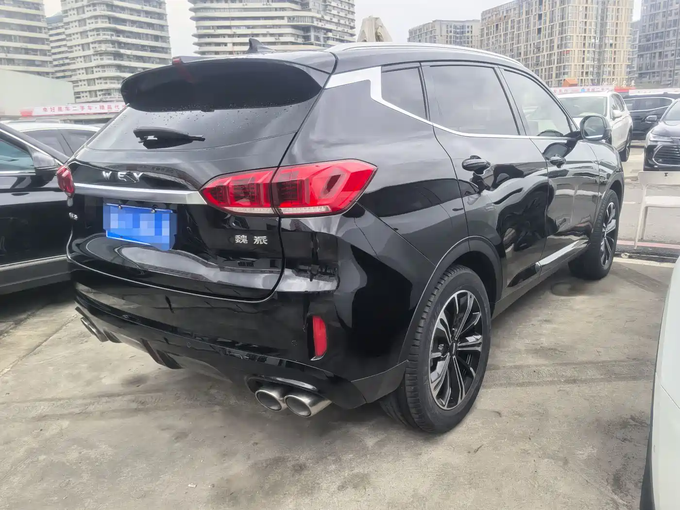 WEI PAI WEI BRAND VV6