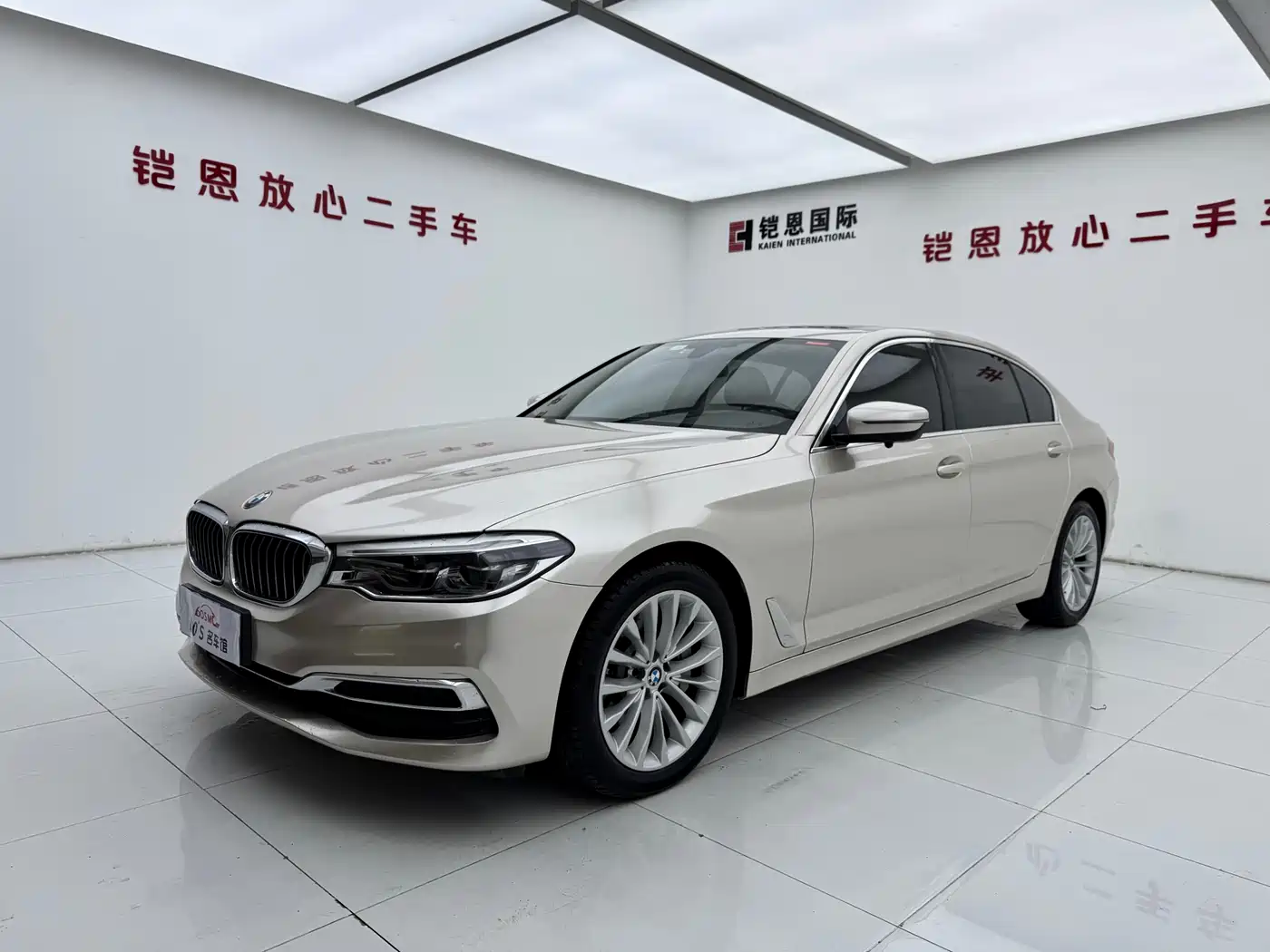 BMW 5 Series 2020 530Li Leading Luxury Package