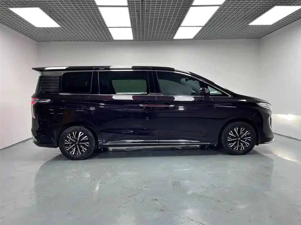 Hongqi HQ9 PHEV 2024 Model 2.0T AWD Luxury Edition фото 4