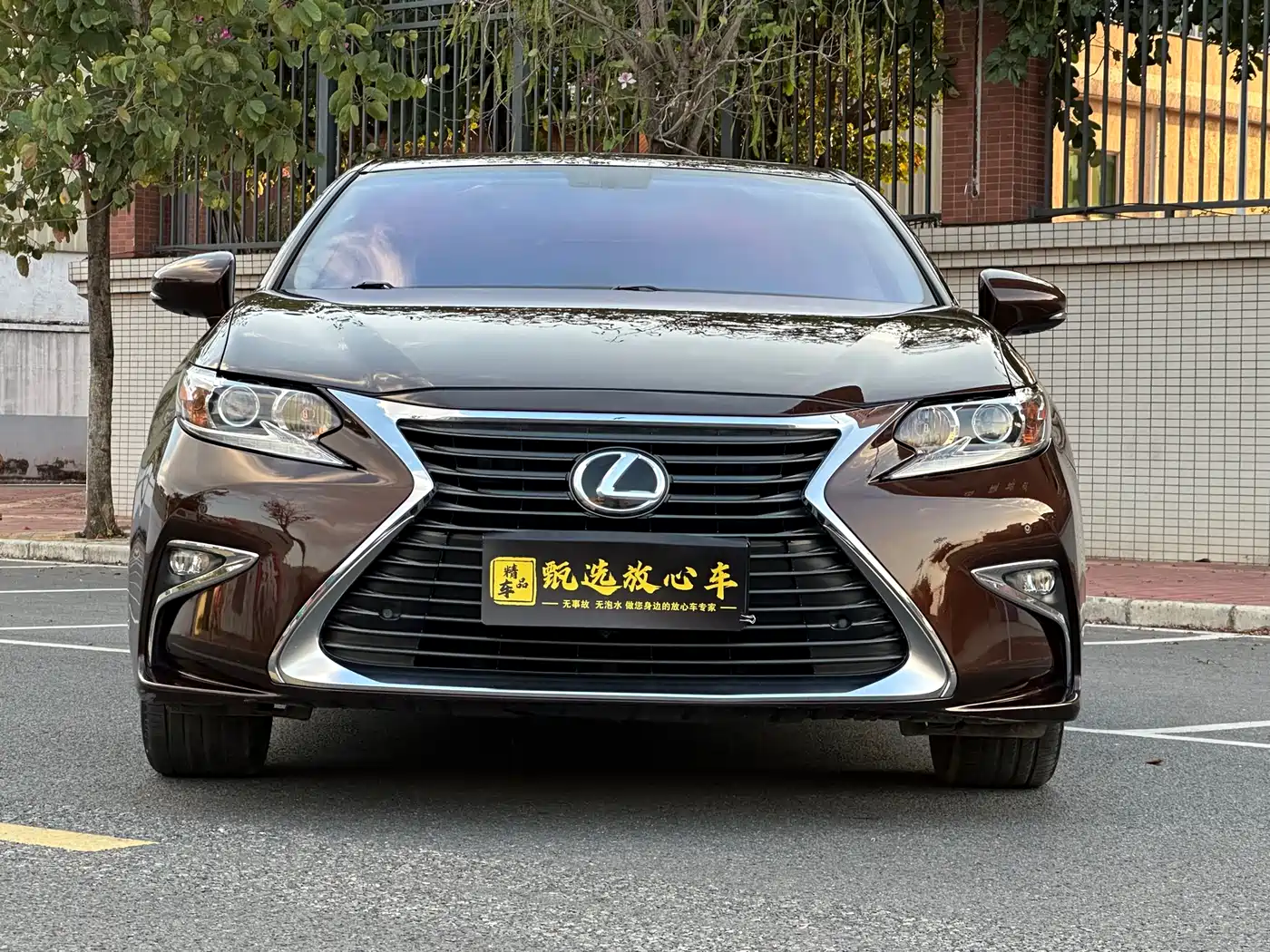 Lexus ES 2015 250 Elegance Edition фото 2