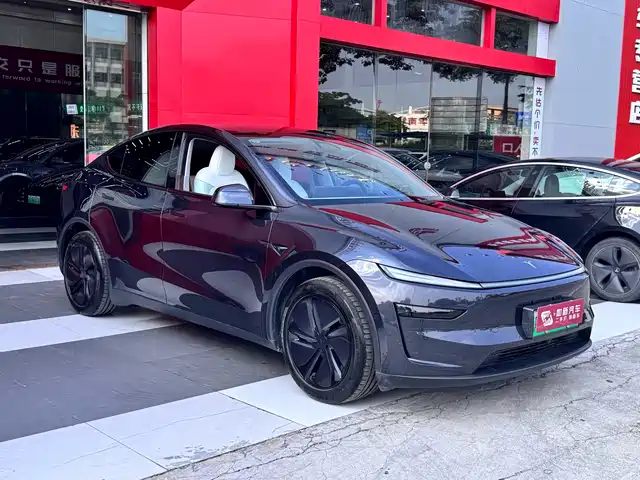 Tesla Model Y 2025 Model Long Range All-Wheel Drive Launch Edition — фото 3