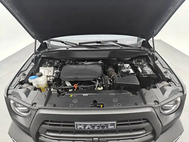 HAVAL BIG DOG