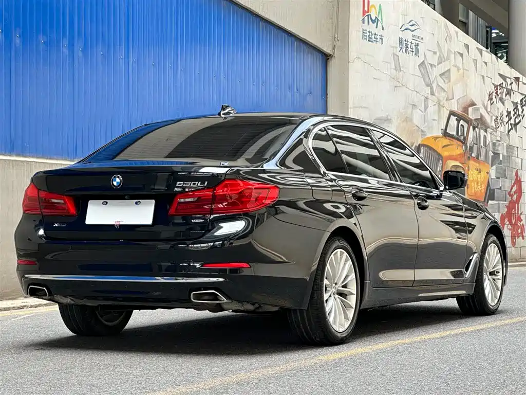 BMW 5 Series 2020 530Li xDrive Luxury Package фото 5