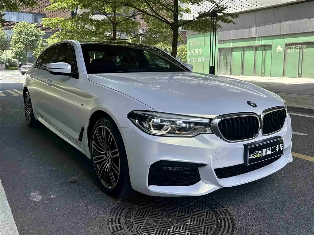 BMW 5 Series 2019 530Li Leading M Sport Package фото 3