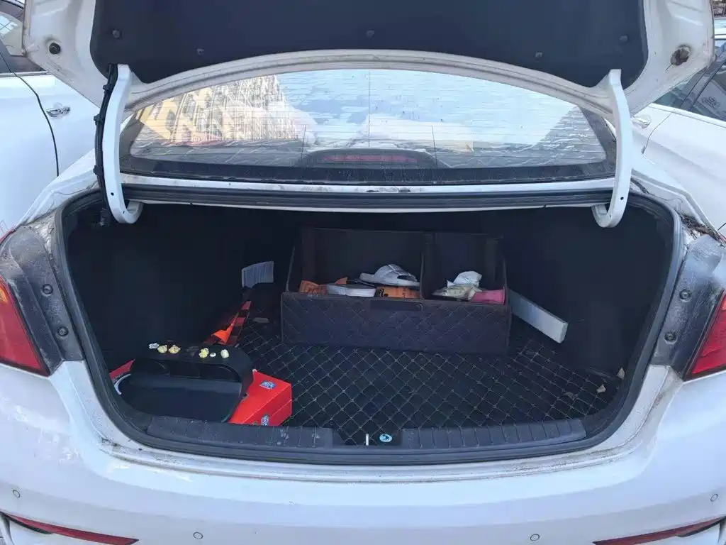 Фото 4 - Hyundai Mistra