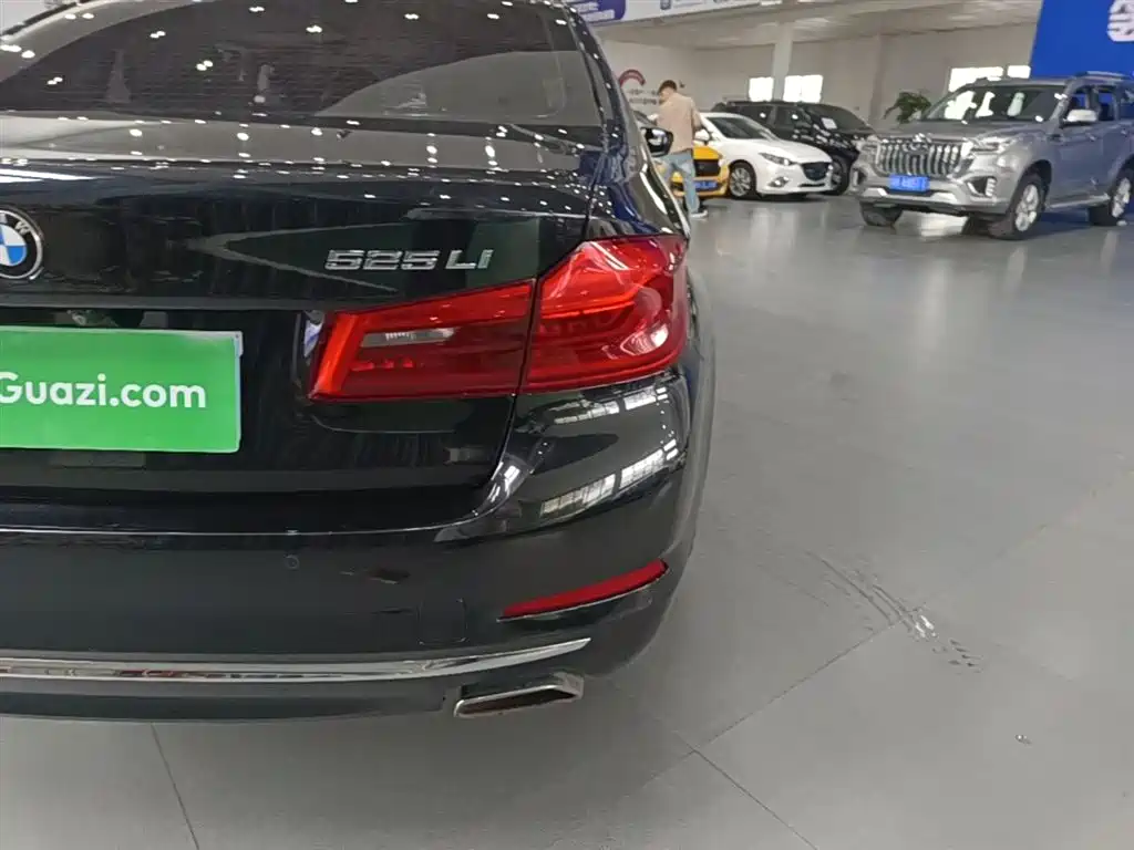 BMW 5 Series 2018 525Li Luxury Package фото 8
