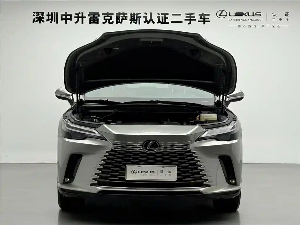Lexus RX 2023 350h 2WD Comfort Edition фото 3