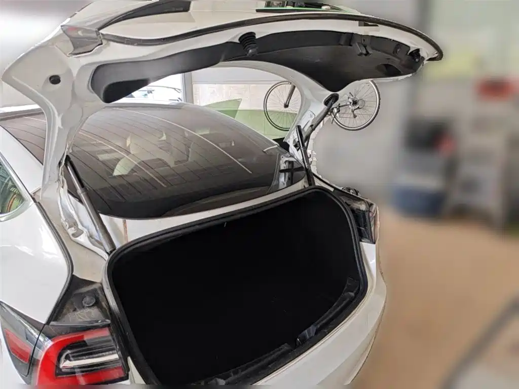 TESLA MODEL 3 (IMPORTED)