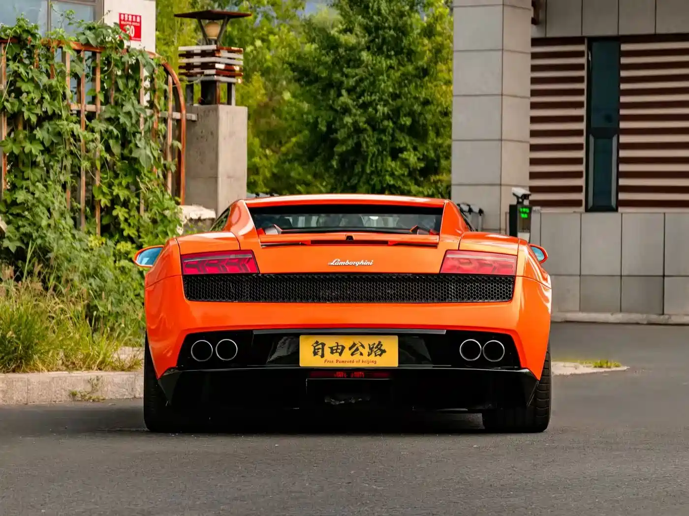 Photo 15 - Lamborghini Gallardo