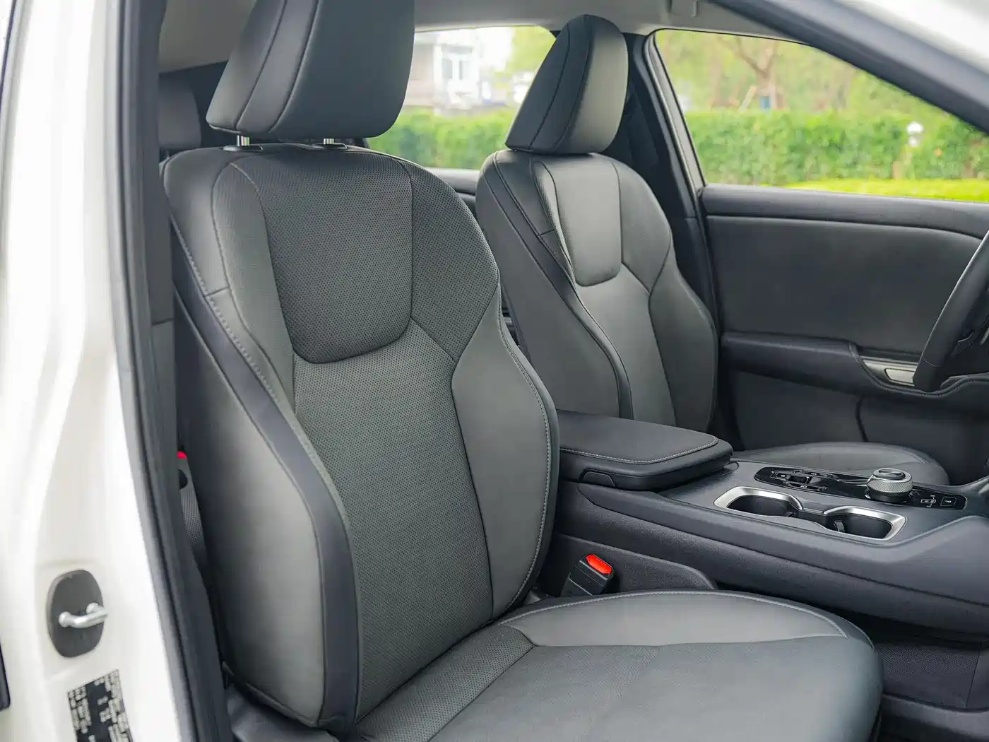 Lexus RZ 2023 450e 4WD Deluxe фото 12