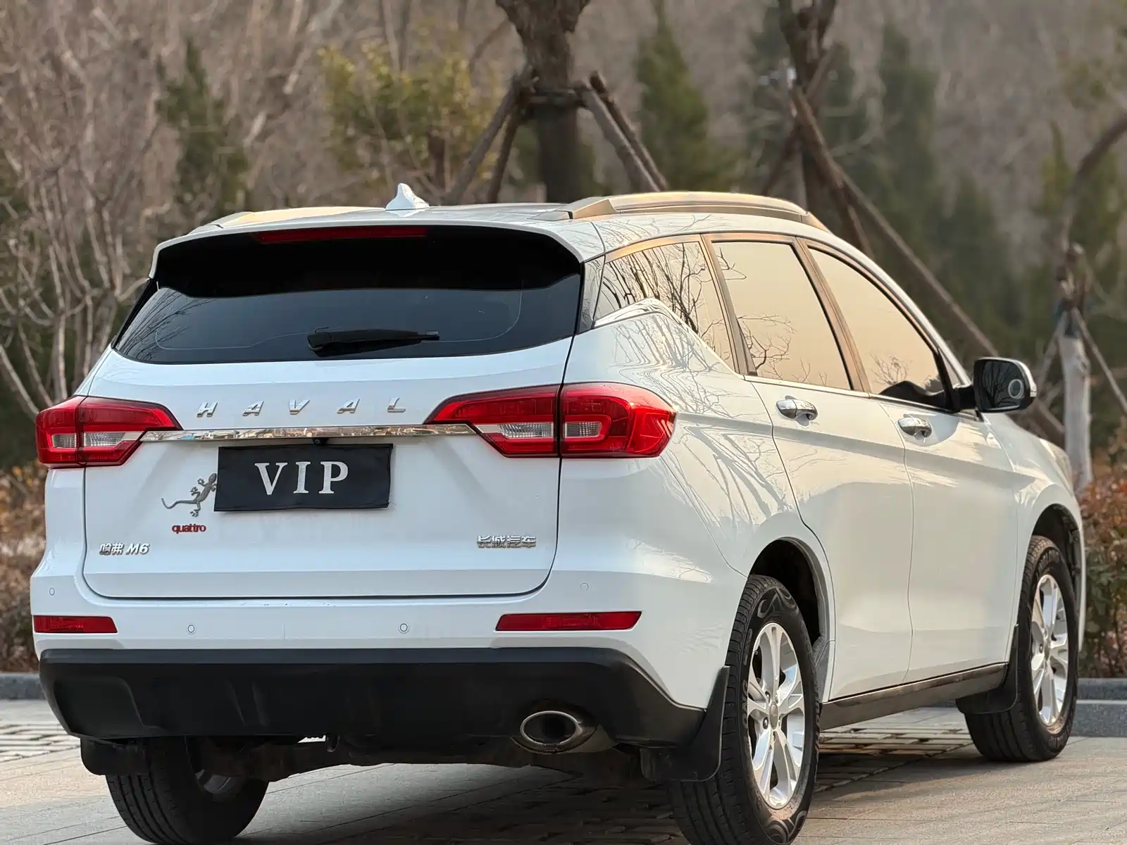 Фото 6 - Haval M6
