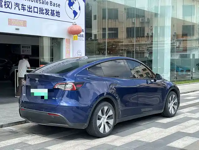 Tesla Model Y 2021 Model Long Range AWD — фото 4