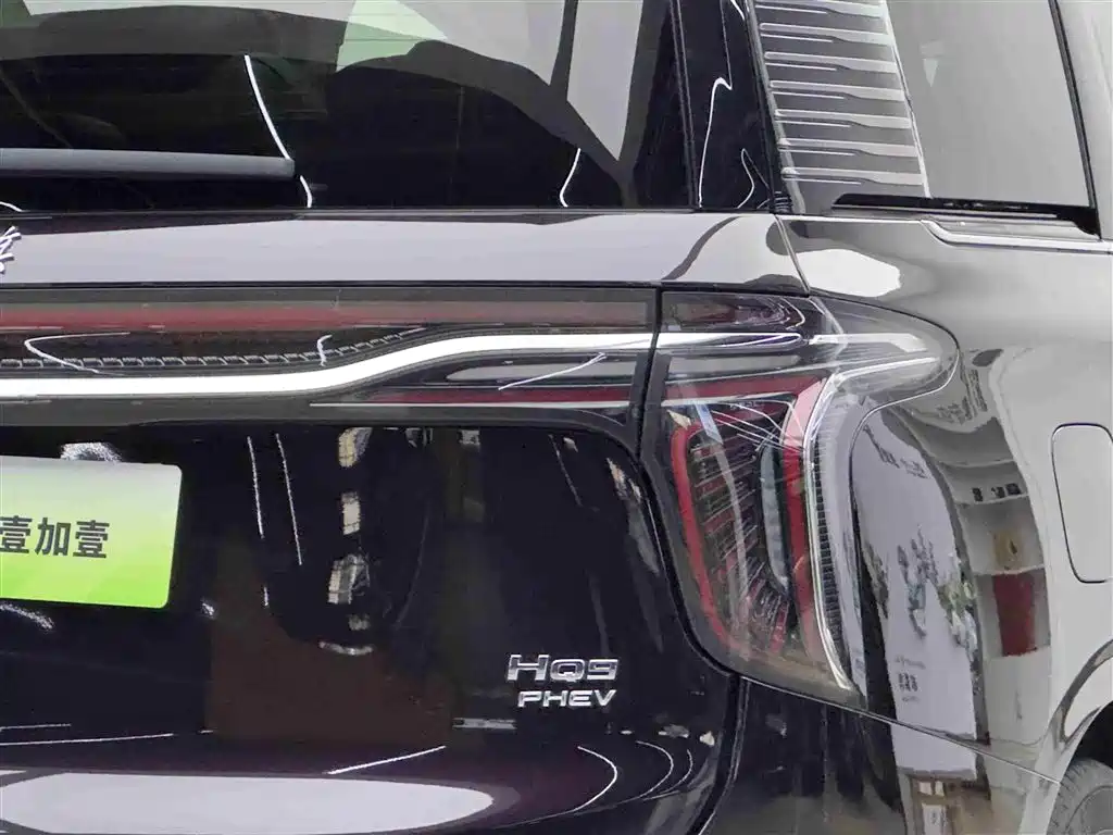 Hongqi HQ9 PHEV 2024 Model 2.0T AWD Luxury Edition фото 18