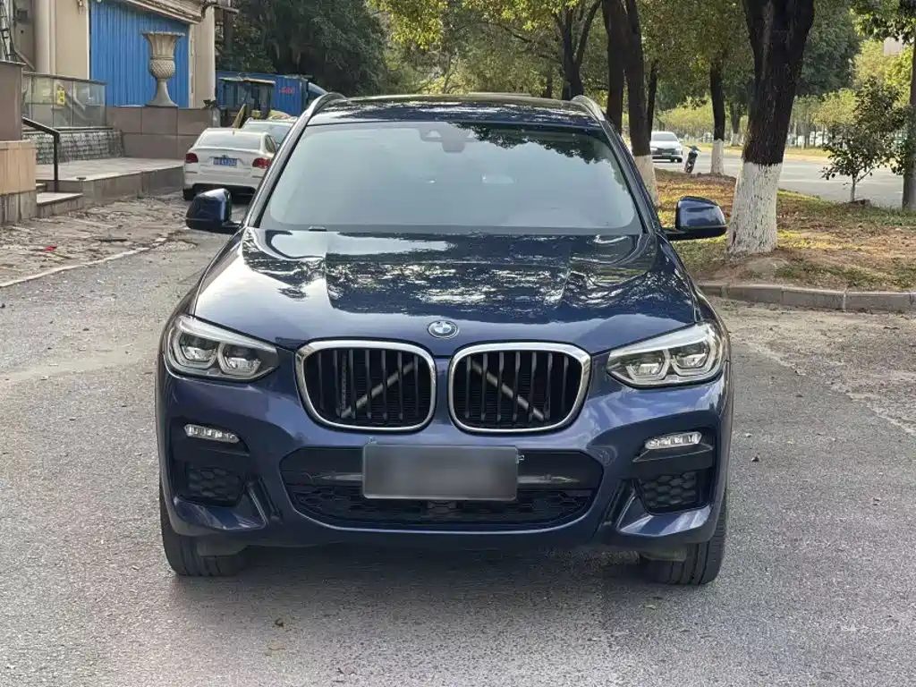 BMW X3 2018 2018 xDrive25i M Sport Package China V