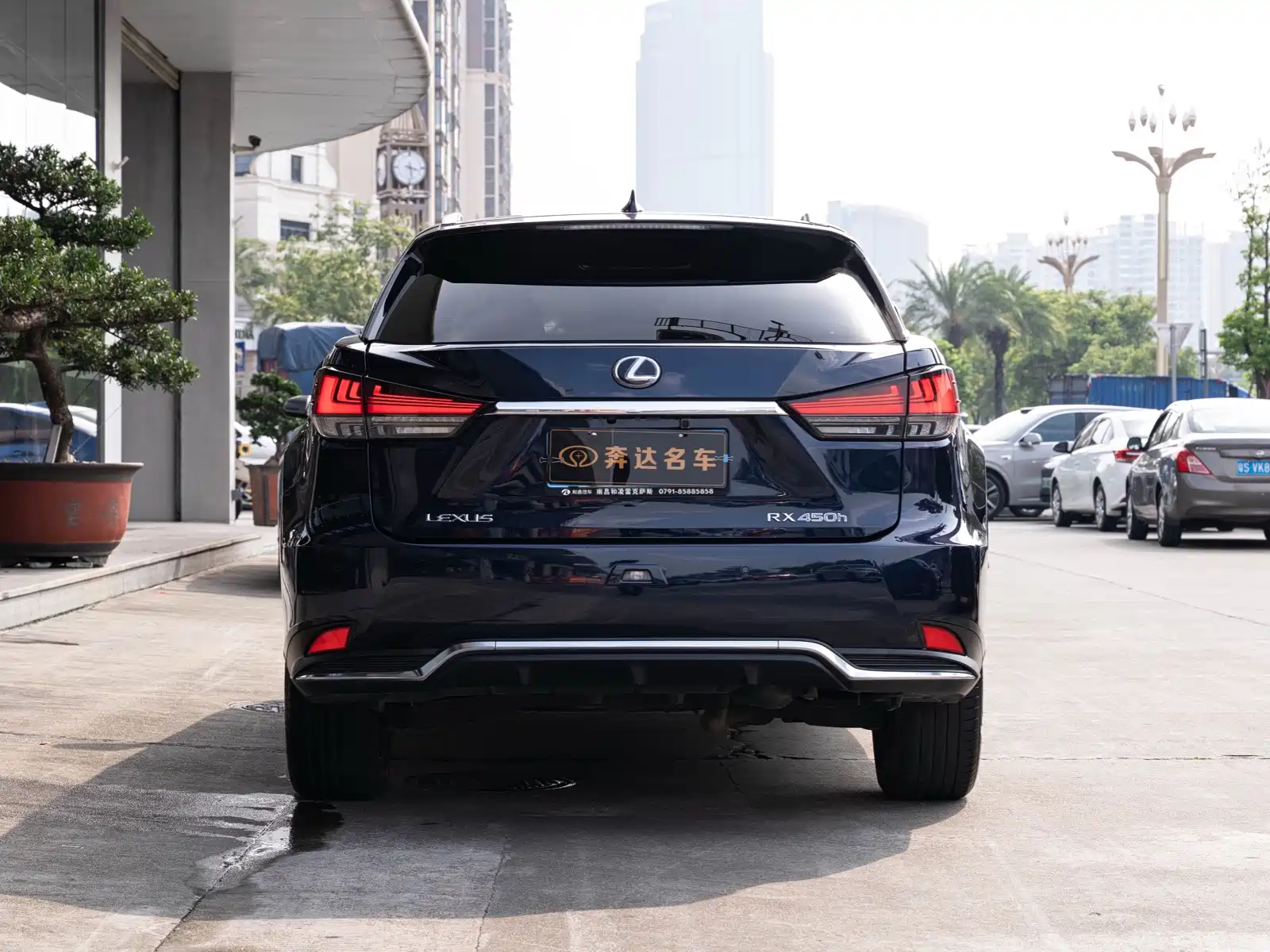 Фото 5 - Lexus RX
